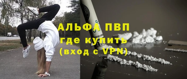 стафф Галич
